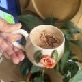 güllü mug ( kupa )